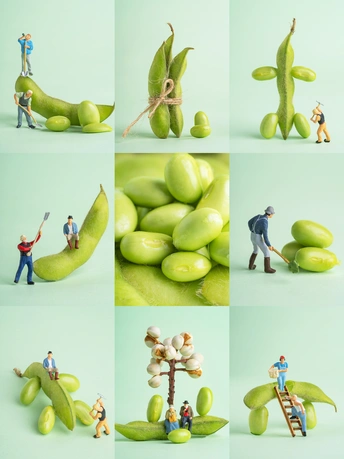 绿豆与小人物和水果荚的拼贴画
